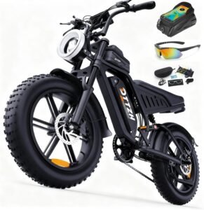 Adult Electric Bike, Fast E Bike for Adults Electric Fat Tire Ebike