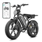 TST Electric Bike for Adults, 48V 15/25 Ah Battery, 60/100 Mile Range