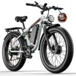 4000W Dual Motor Ebike 52V Up to 100 Miles 52V 24" Fat Tire PU354